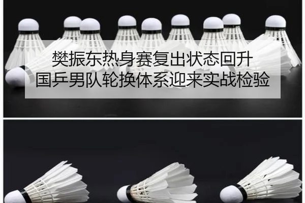 樊振东热身赛复出状态回升 国乒男队轮换体系迎来实战检验